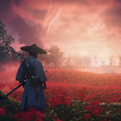 PS5 Ghost Of Tsushima Director's Cut - Albagame